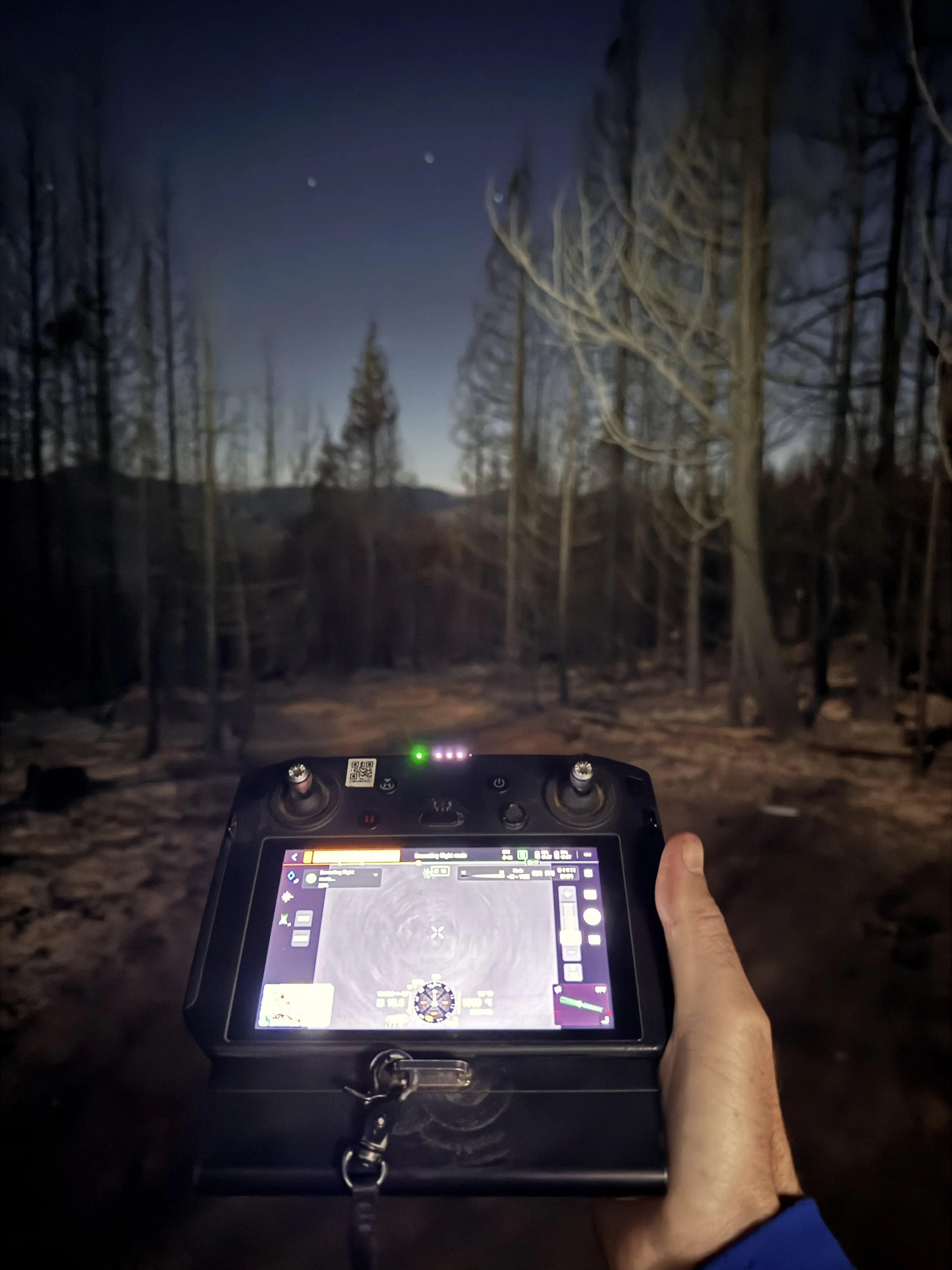 A hand holding the remote controller with the thermal image on screen, standing in the burned forest.
