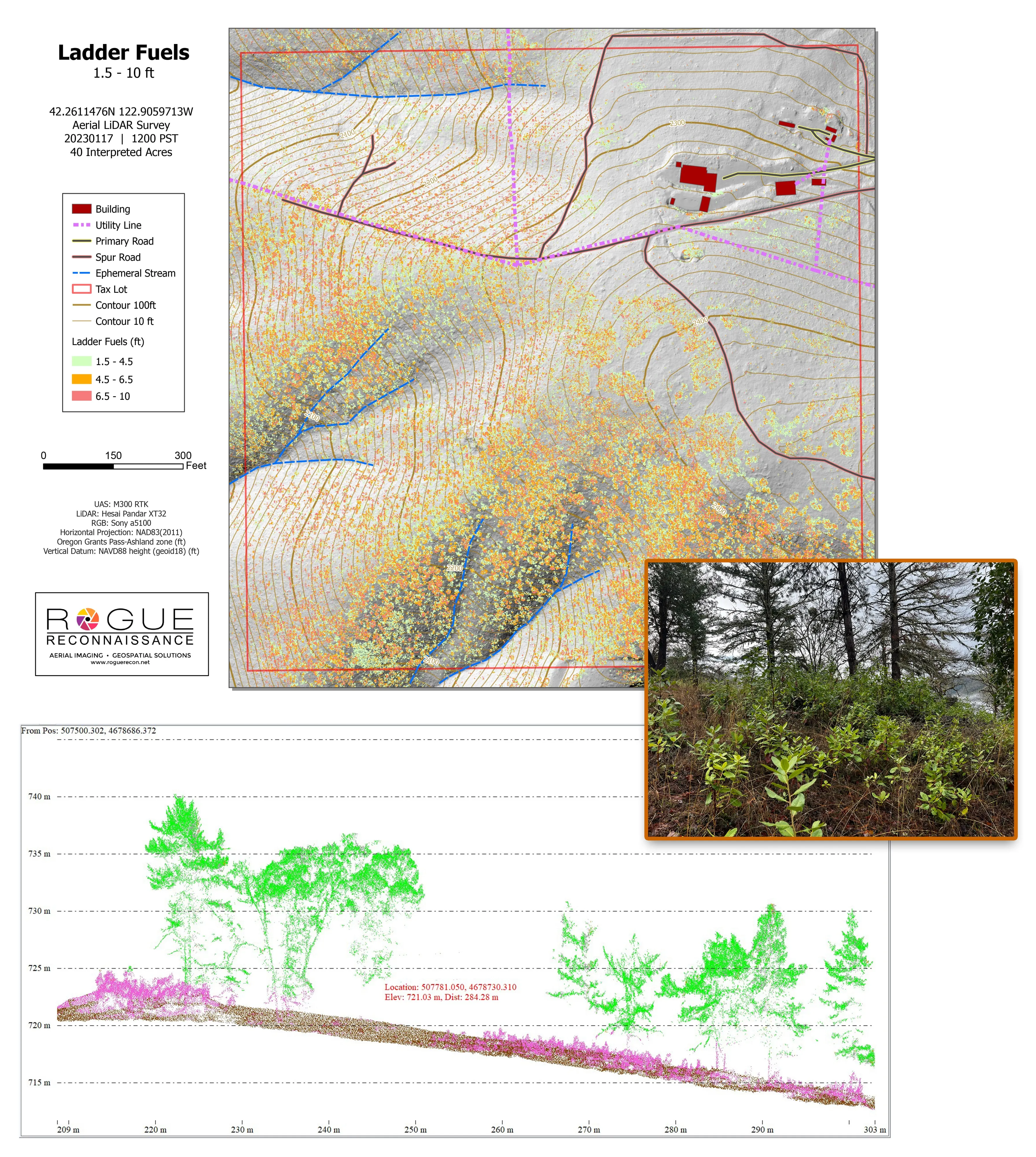 Ladder fuel classification in a LiDAR point cloud, colored by height band, with a ground photo of the same stand inset.