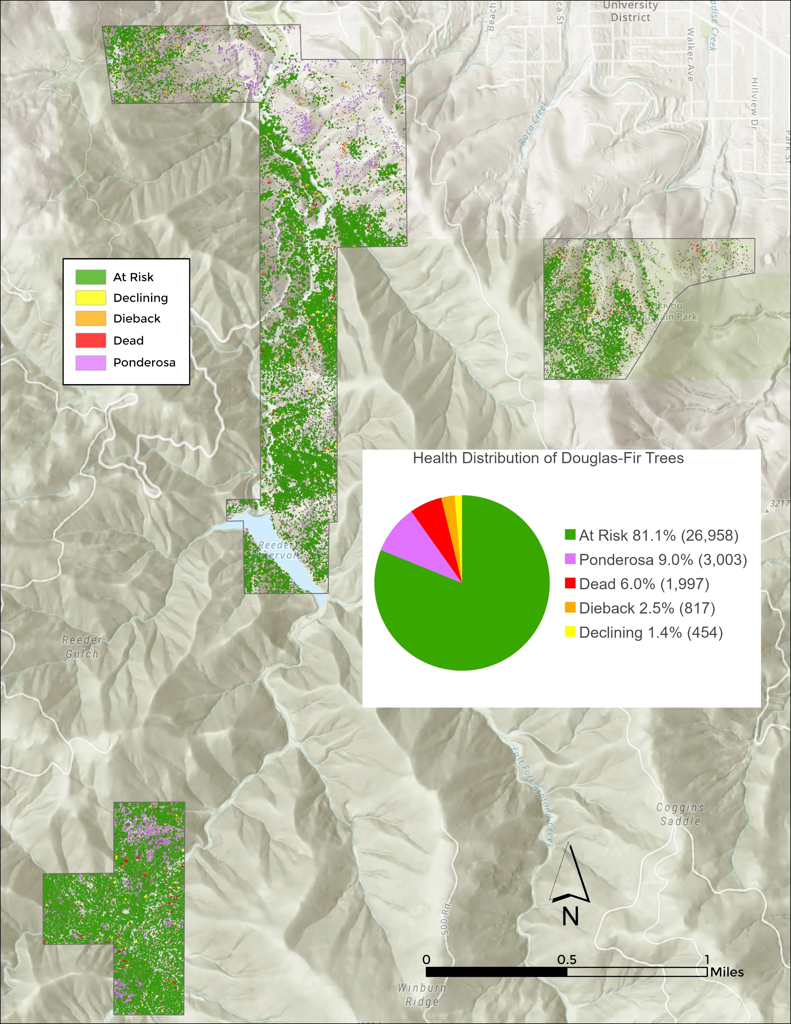 Overview sheet of Douglas fir health across the Ashland watershed lands with the pie chart of the four classes.