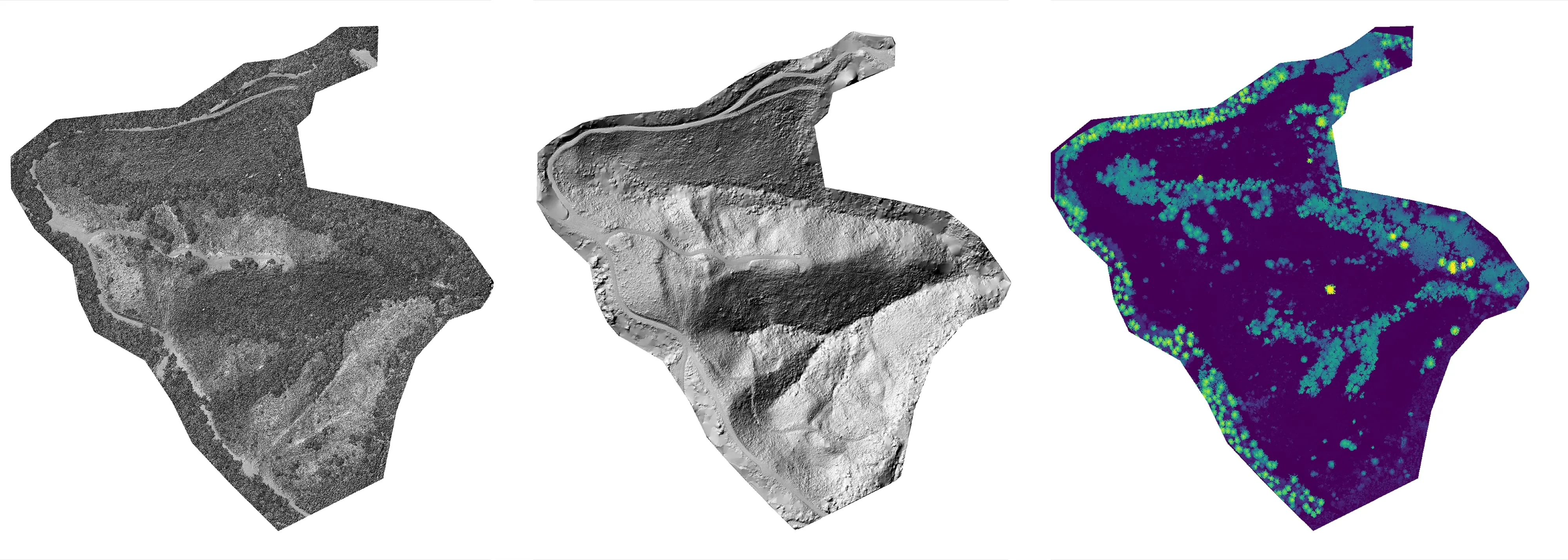 Three views of the same unit from one LiDAR flight: surface model, bare earth model, and canopy height model.