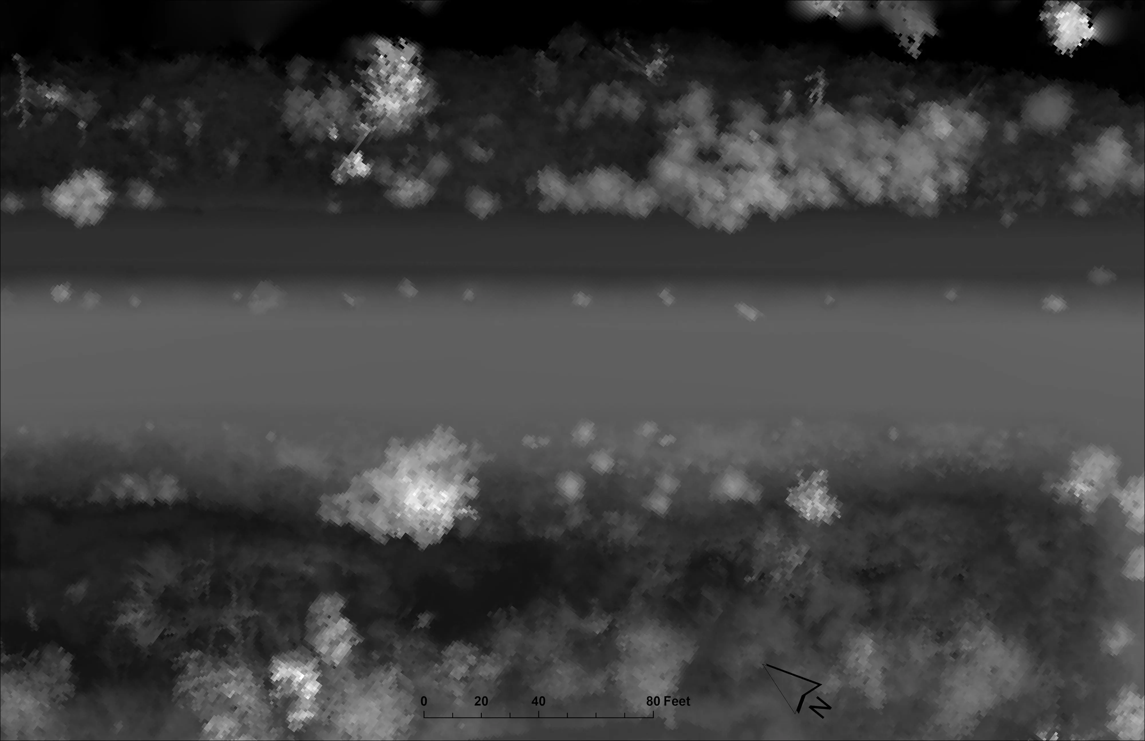 Surface model of the Phoenix corridor with trees and structures.