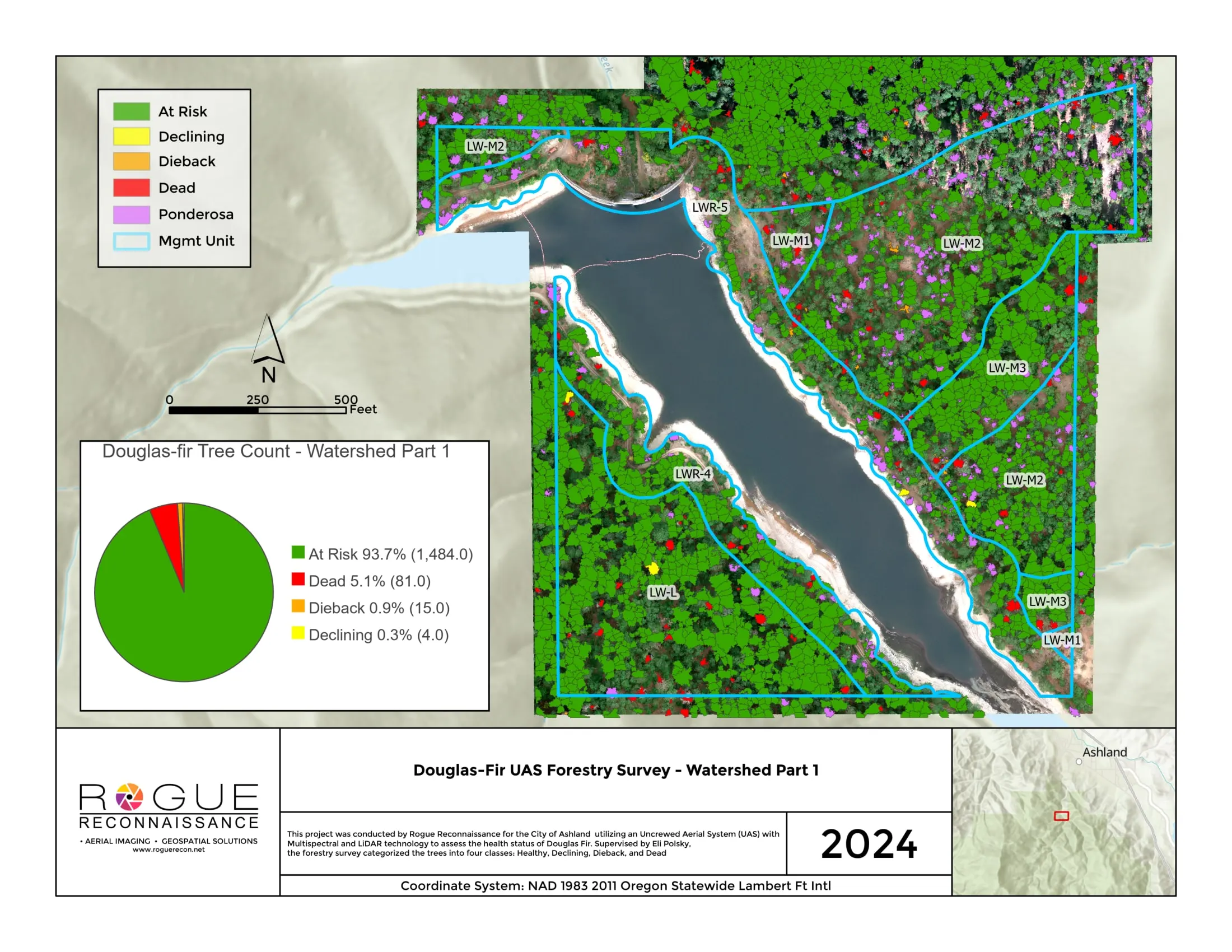 Watershed part 1 sheet: Douglas fir crowns colored by health class over the hillshade with the count chart.
