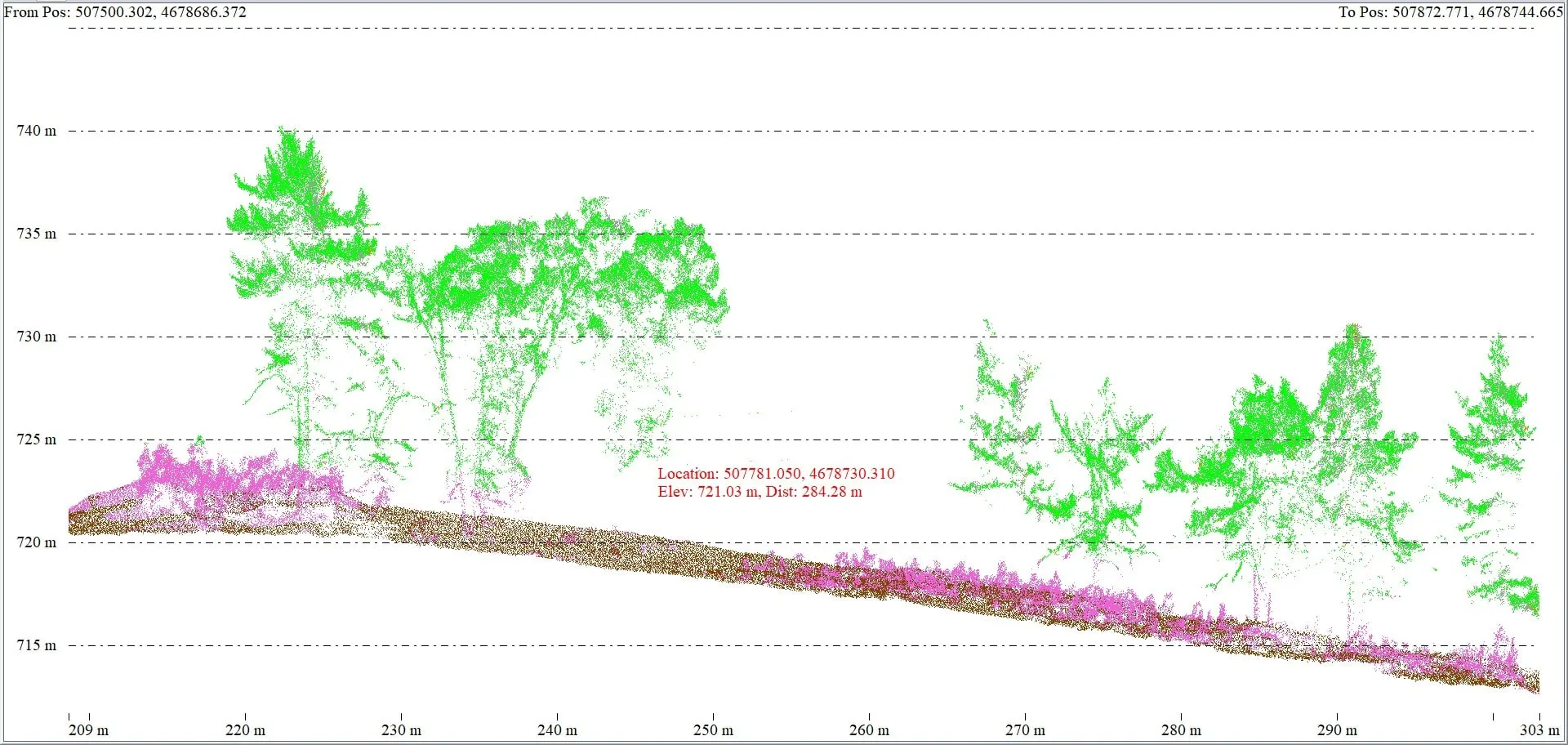 Side profile of a LiDAR point cloud showing ladder fuels between the ground and the canopy.