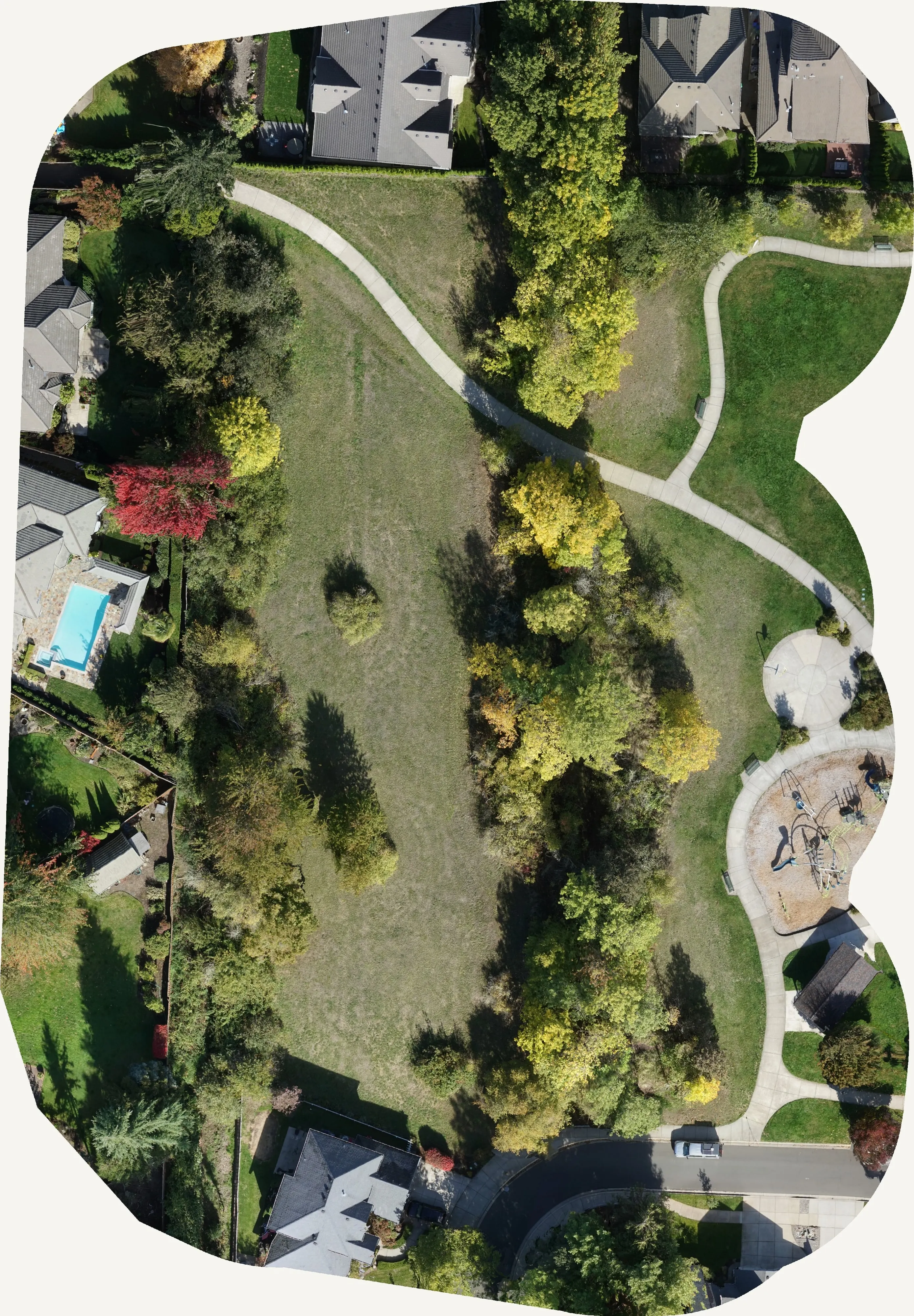 October orthomosaic of a whole Eugene park area: yellow ash crowns along the creek path among green canopy and houses.