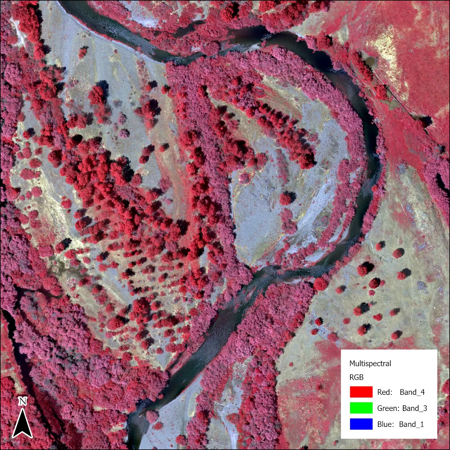 Multispectral mosaic of the reach with crowns outlined.