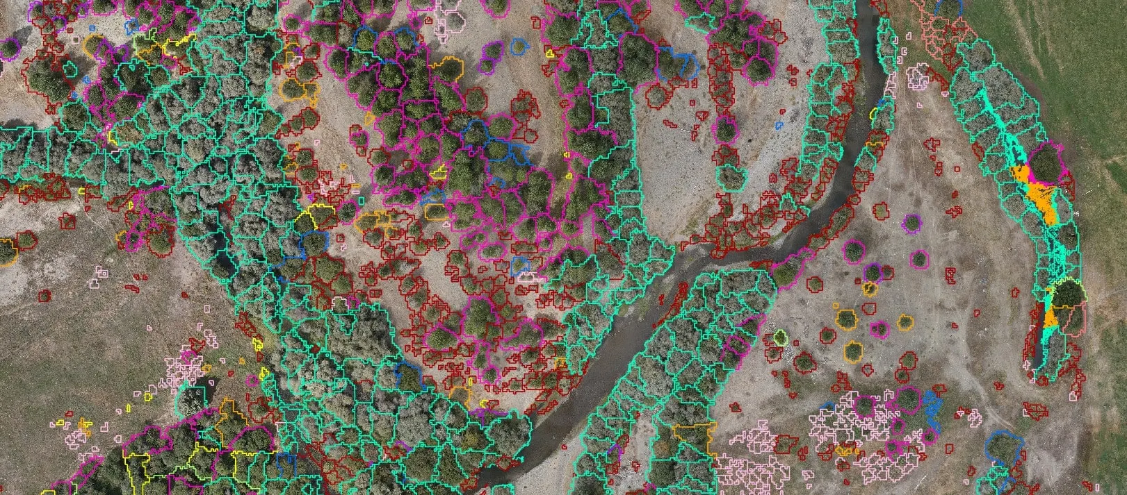 Canopy polygons along a reach of the Scott River colored by dominant species.